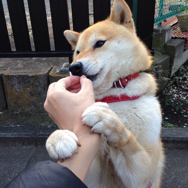 _水上赛车:速度、激情与浪花_,水上飙车