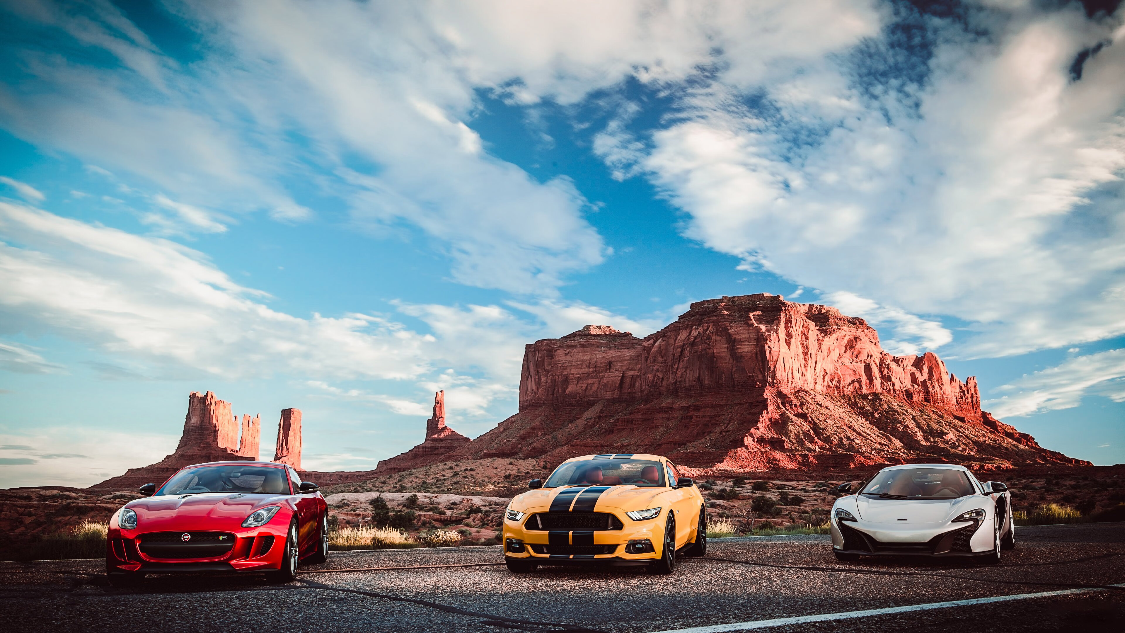 【世界冠军风采】他们的成功之路与未来展望,世界冠军背后的艰辛