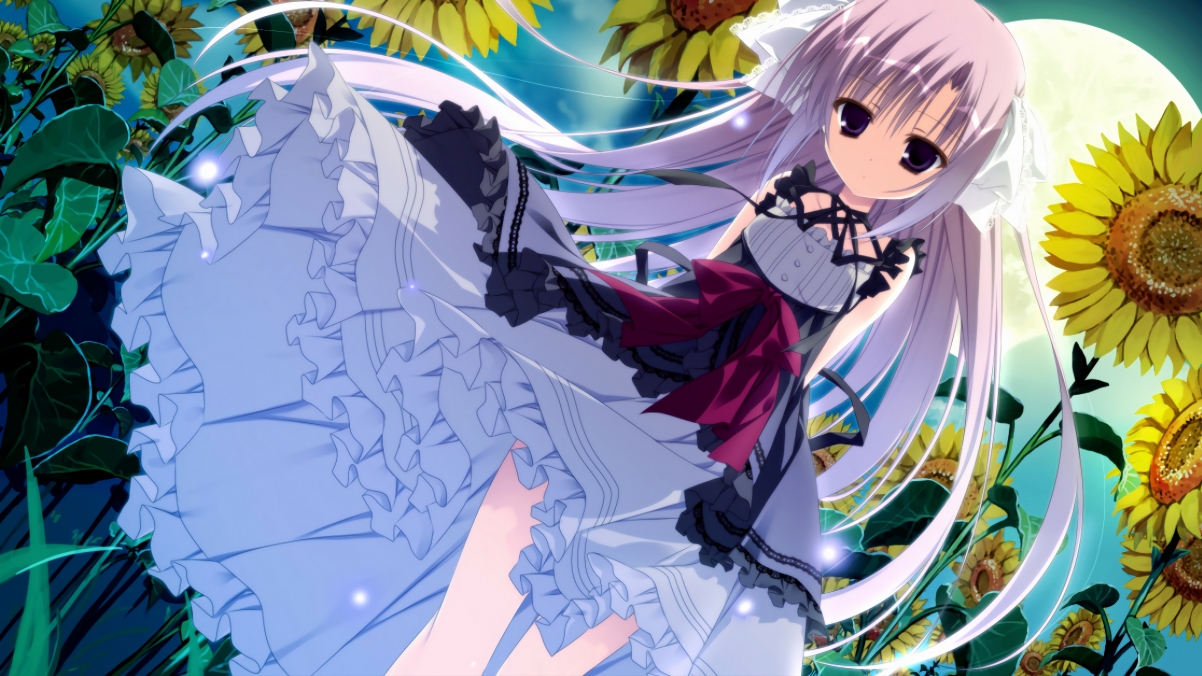 传奇车手迈克尔的巅峰记忆,迈克尔传奇英文