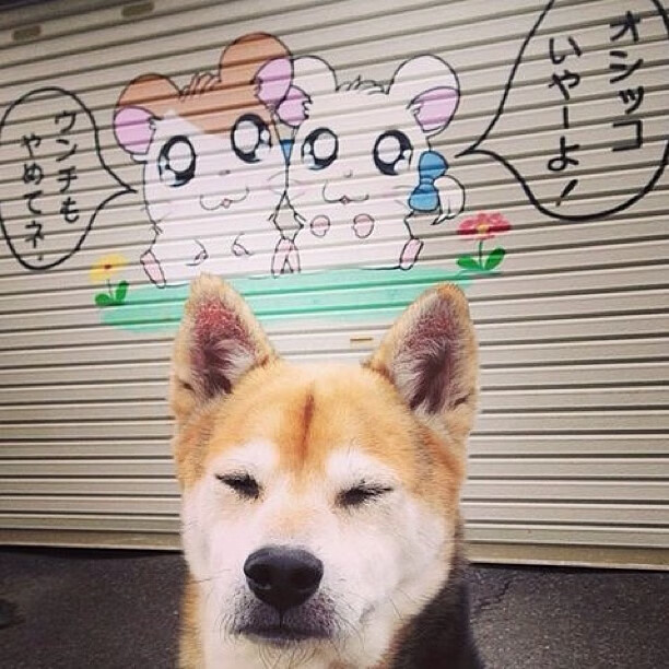 Jiuyou-团队配合：北京队助攻达25次，传球极为流畅！，北京队球员