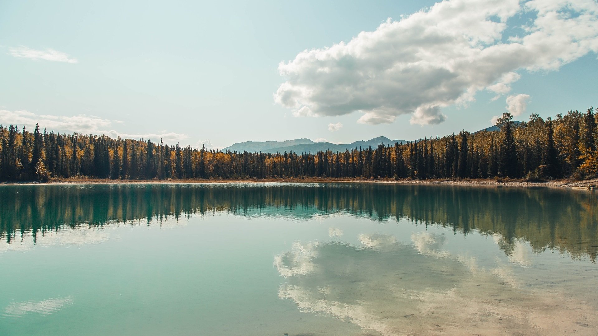 九游APP官网-意大利在欧洲杯预选赛中2-1击败以色列，取得关键胜利。，意大利欧洲杯预选赛比分