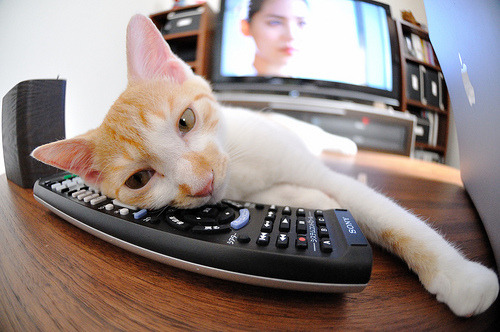 九游下载安装-最佳合作：球员之间精准配合令人惊叹，最佳球员和最佳射手