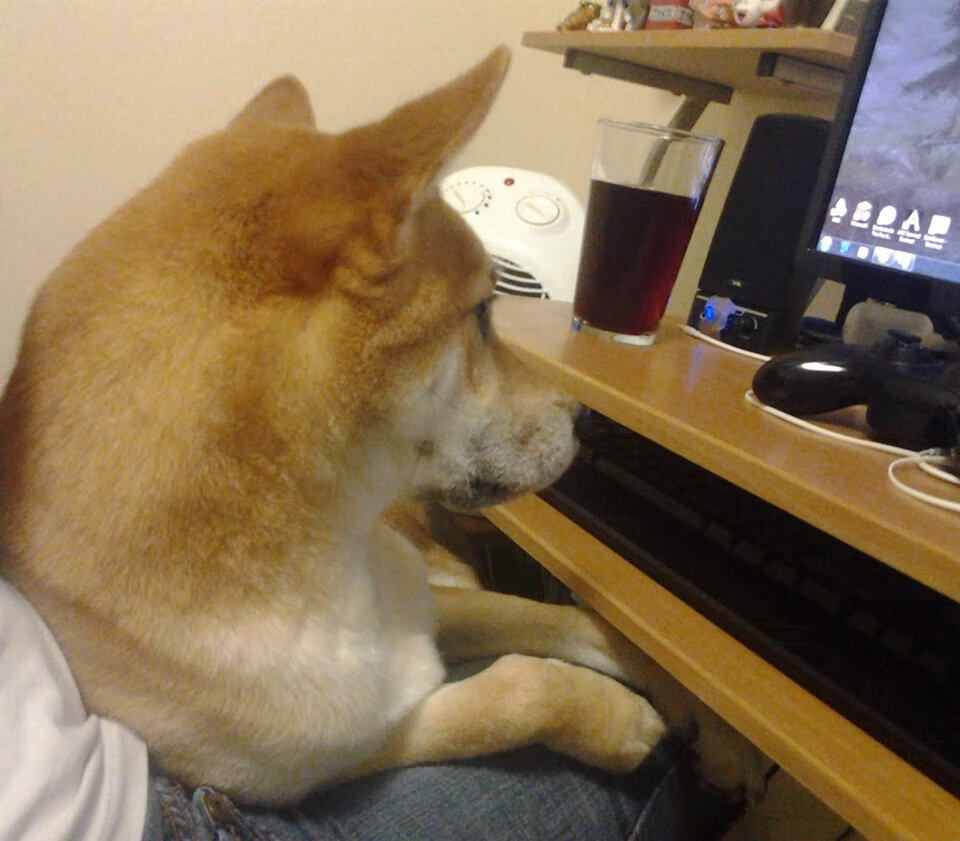 九游正版入口-电竞选手成名之路：天赋与努力，坚持与梦想，电竞选手出路