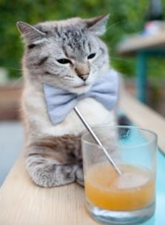 高山滑板比赛,激情滑行展现青春力量,滑雪高山板