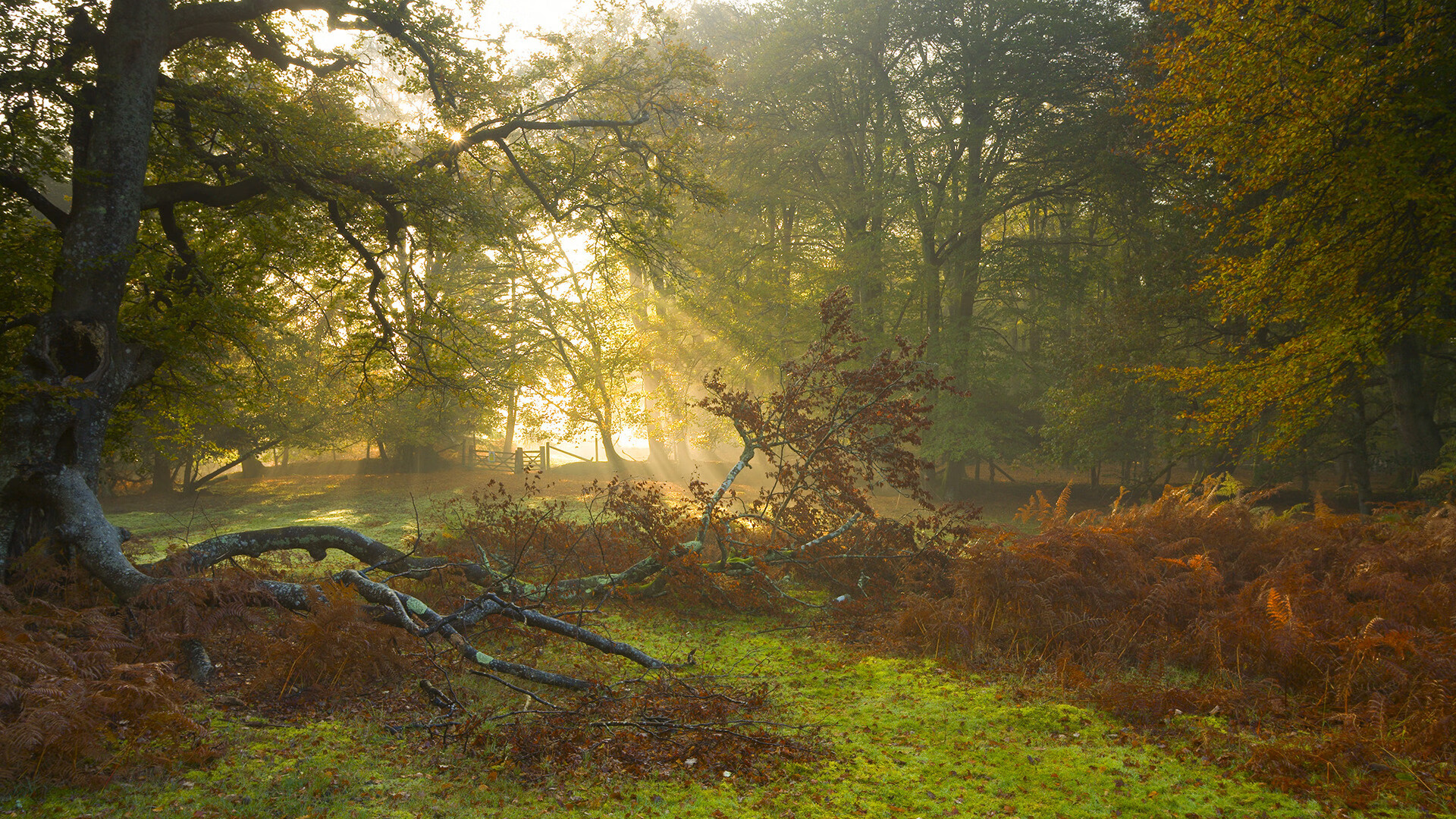 Jiu You-山西汾酒球队新秀表现突出，山西汾酒队现在名单