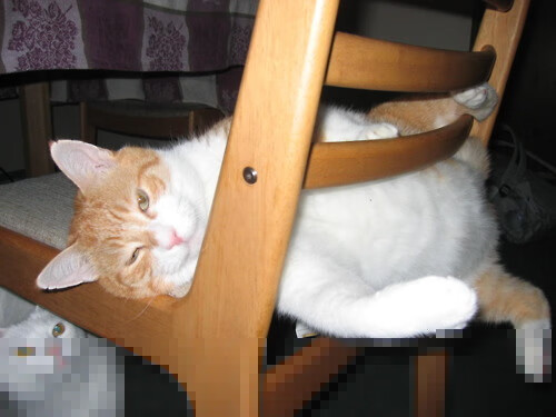 九游app下载中心-巴萨主场3-2战胜巴拉多利德，进攻端表现出色，巴萨主场3-2战胜巴拉多利德,进攻端表现出色的球员