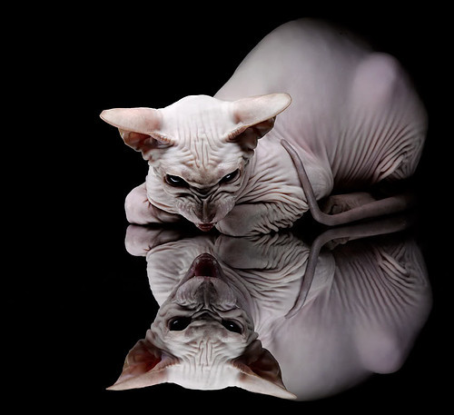 九游下载安装-意大利足球赛事安全措施得到增强，保障球员及观众，意大利足球 防守