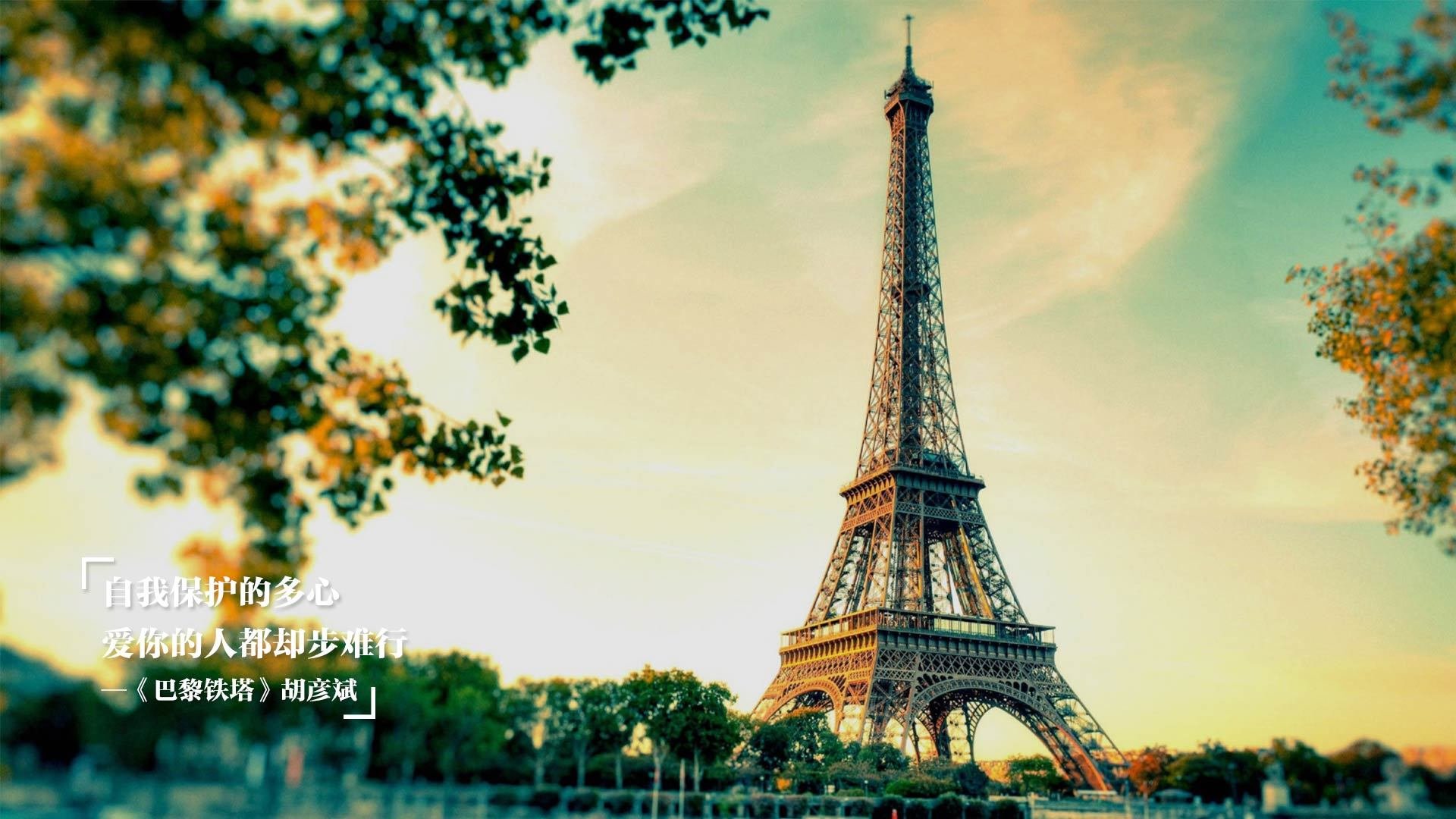 日本马术协会与大学合作,开展马术专业课程,培养专业人才。,日本东京马术俱乐部