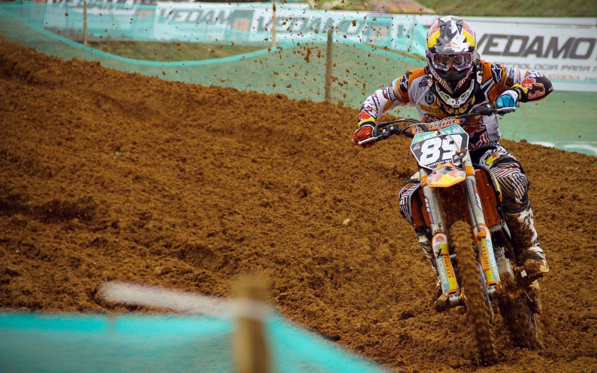 看好灰狼队在东部决赛中有所表现，灰狼队长