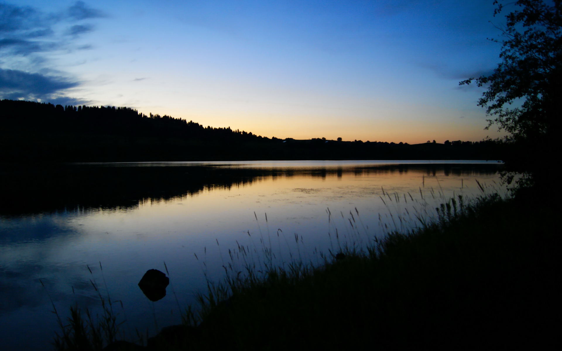 Jiu You-莱斯特城中场新星基尔南·杜斯伯里-霍尔：展现潜力，基尔斯德莱斯