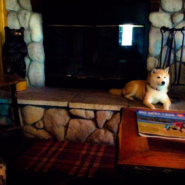 体育赛事志愿者服务质量提升研究,体育赛事志愿者工作内容