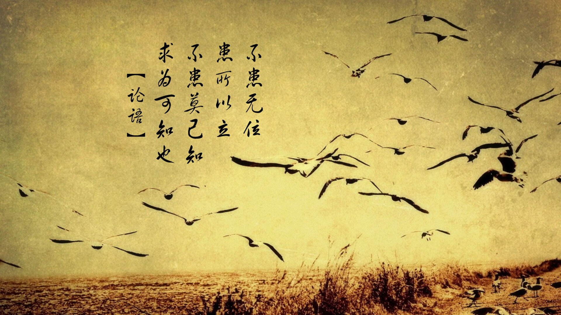 西甲积分榜风云:皇马逆转夺冠希望依旧存疑,西甲集锦皇马