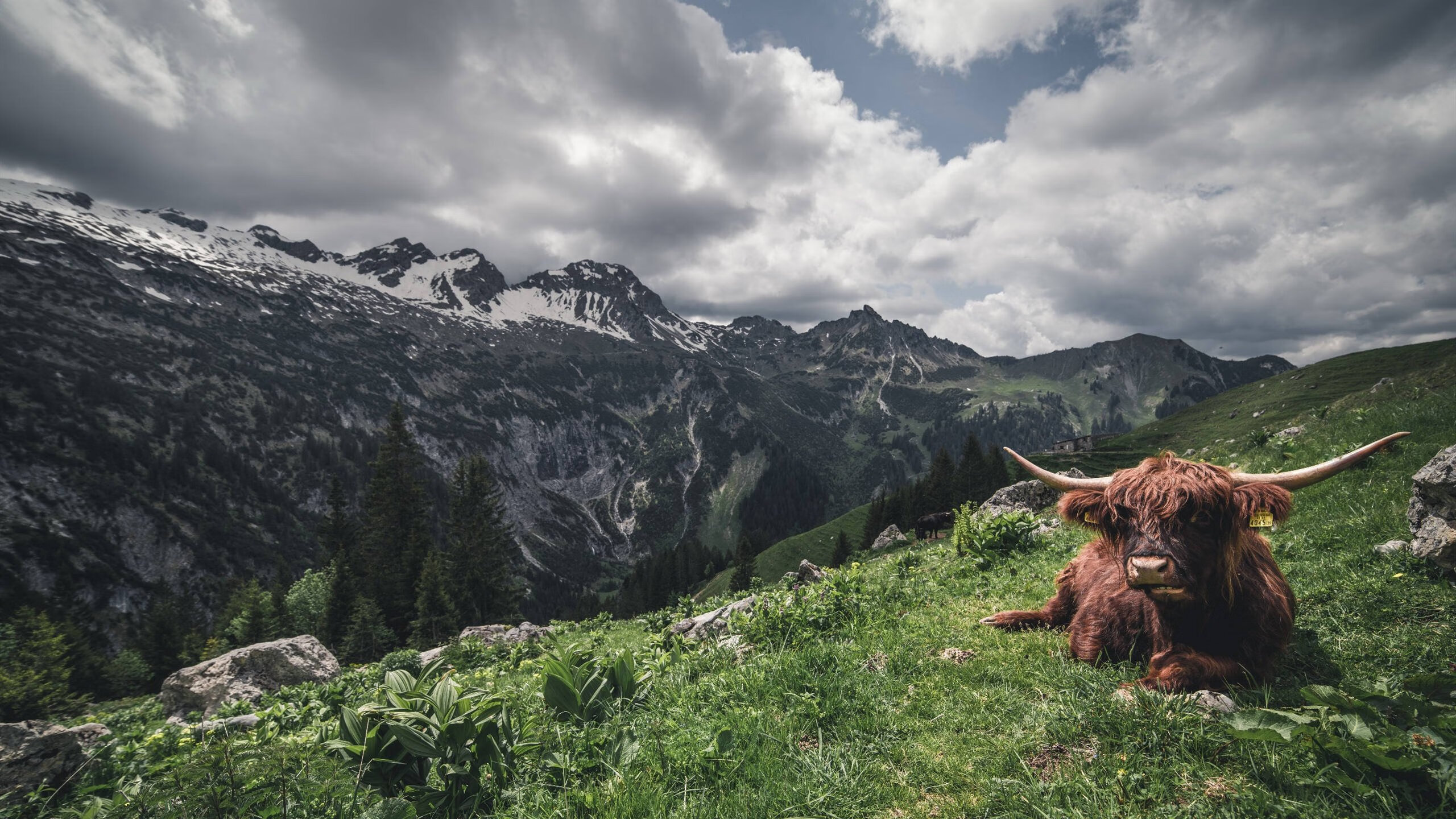 退役运动员创业支持项目成效调研，关于进一步做好退役运动员就业安置工作的意见