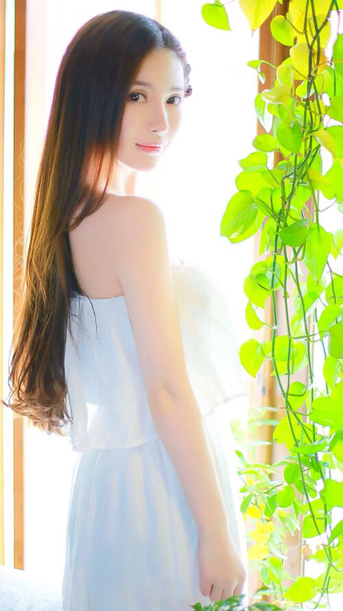 基层裁判培训体系标准未统一