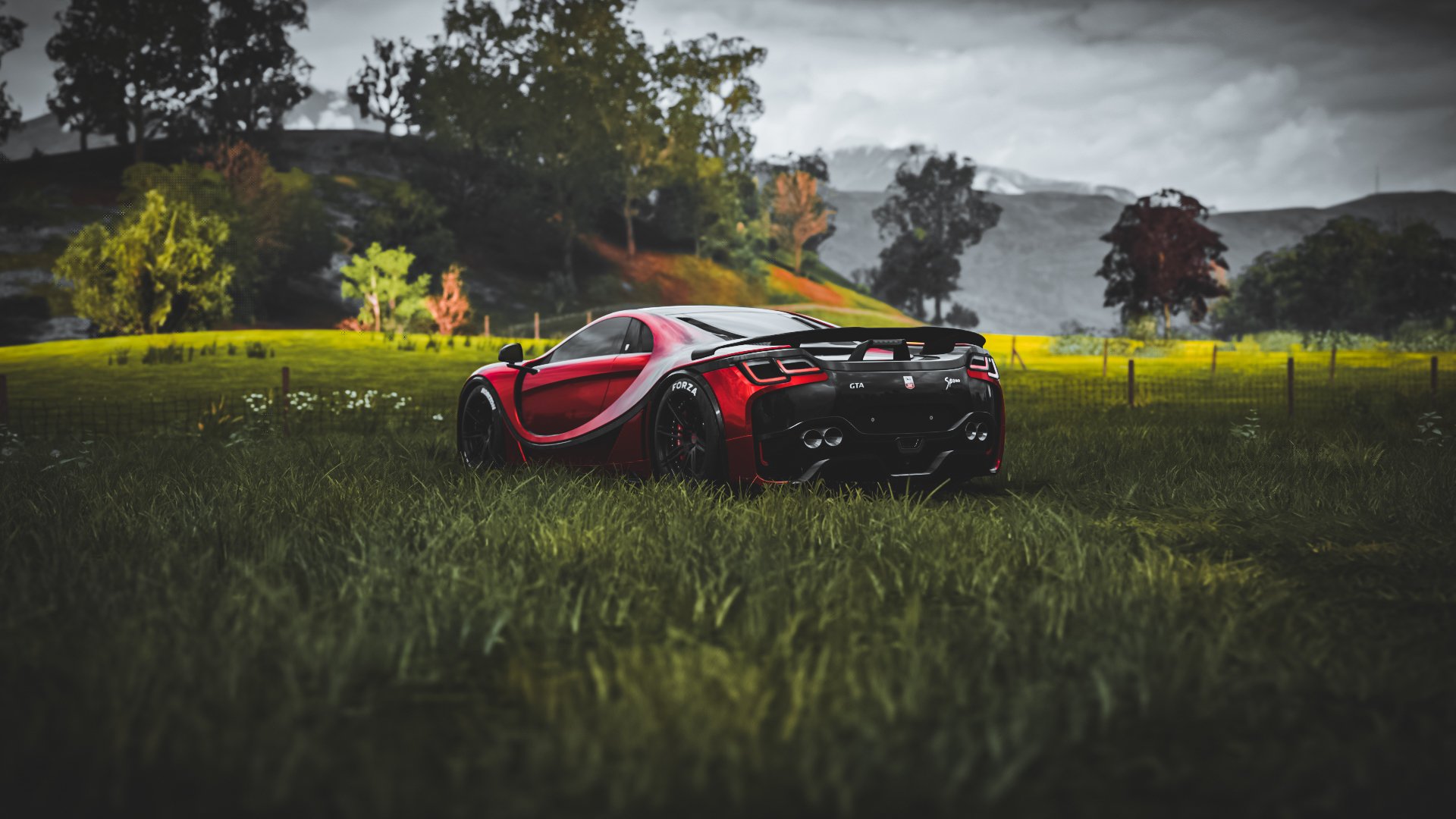 田径选手生涯规划指导系统推广试点,田径计划