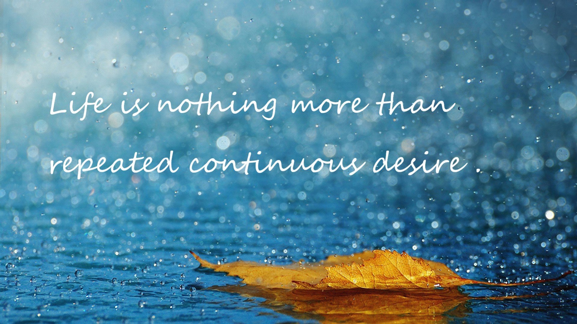 -罗马尼亚队赛制分析：团体赛中的配合默契与技术选择，罗马尼亚赛程500