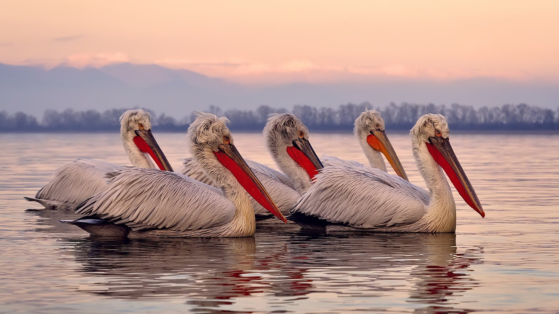 多地推动篮球进校园活动普及篮球文化扎根基层,校园篮球文化建设