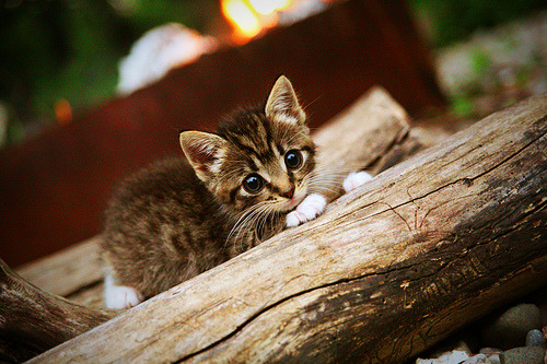 女篮青年队强化横移步伐提升外围防守表现,青年女篮国家队名单