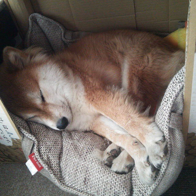 -朱婷携球队拍摄新赛季定妆照，朱婷决定