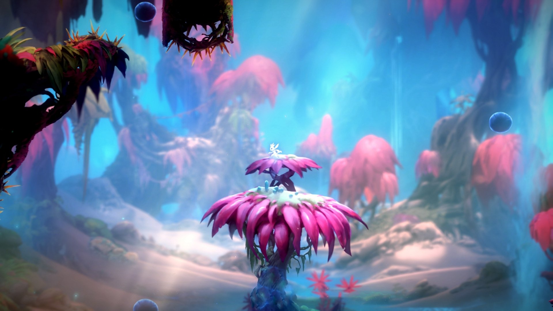 九游(jiuyou)官方网站-王楚钦状态回归巅峰全运会羽毛球，王楚钦全运会2021参加几项