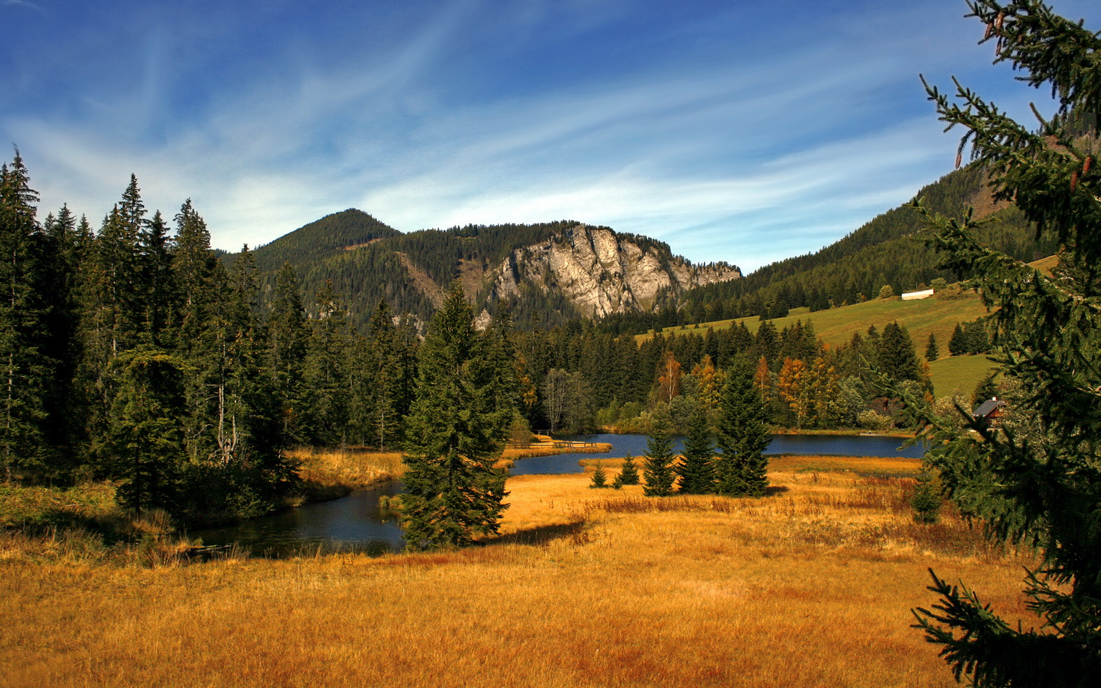青训选拔更注重球员潜力而非阶段性成绩,青训选拔机制