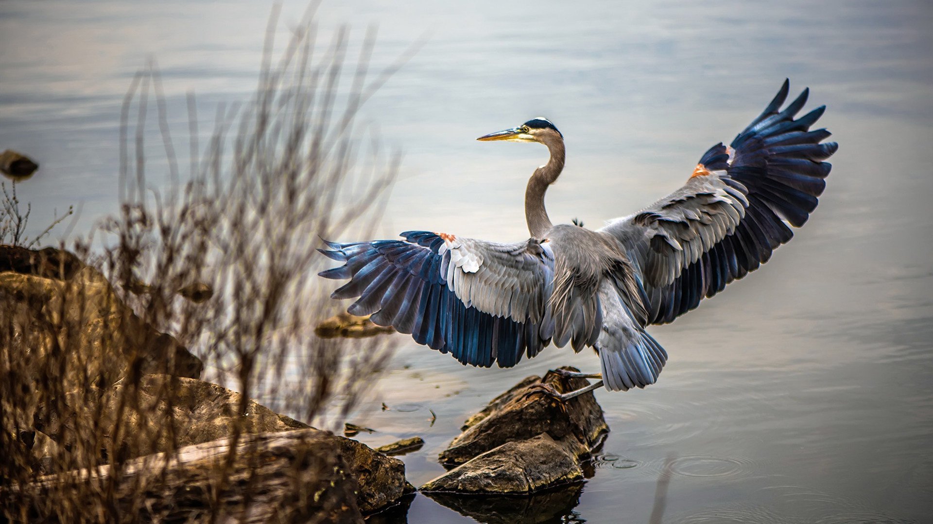 骑士高层参与训练旁听体现管理层对球队支持,骑士的教练是都有谁