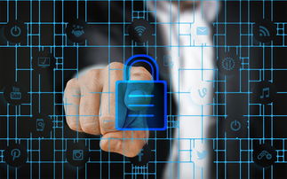 九游体育官网-体育特许经营管理制度构建与案例研究，体育行业特有职业培训试点单位